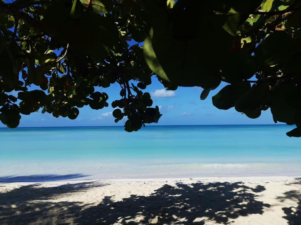 Saona Beach House - Bed And Breakfast Mano Juan Εξωτερικό φωτογραφία